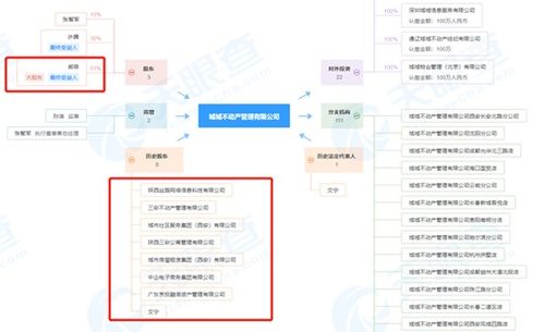 小鹰找房回应 暴雷 尚在正常运营 争取两三周内拿出解决方案