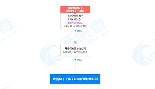 因有履行能力而拒不履行确定义务 蛋壳公寓ceo高靖再被限制消费