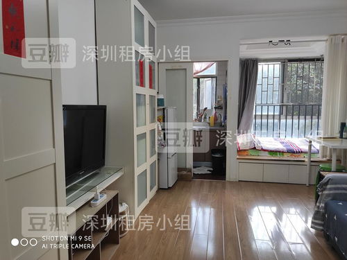 南山区西丽学子荔园朝南4楼单身公寓3200元 月整租...