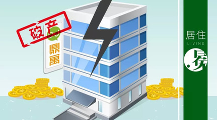 鼎家破产疑云:关联公司的水到底有多深? || 深度