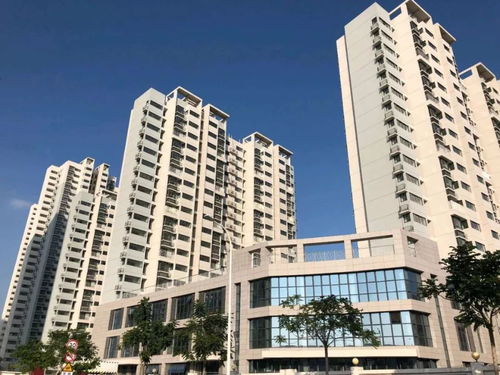 厦门各区保障房项目建设及公寓租赁管理2024年2月新动态