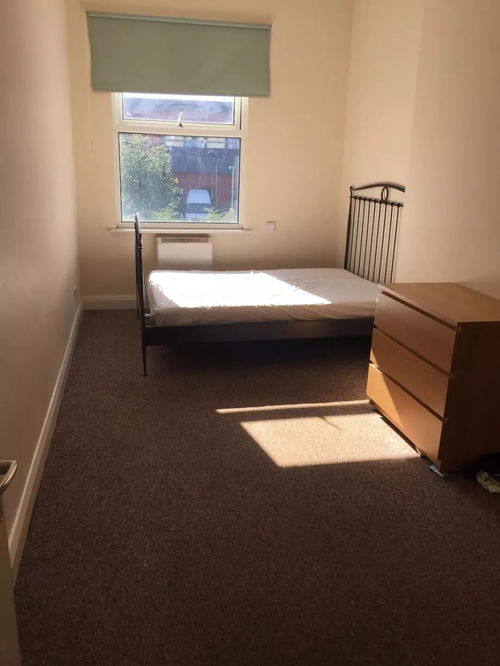 东伦敦崭新公寓出租 超大阳台与花园，尽享都市绿洲生活